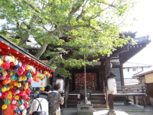 森川　あやこの☆ハッピー♪ラッキー♪大好き～♪